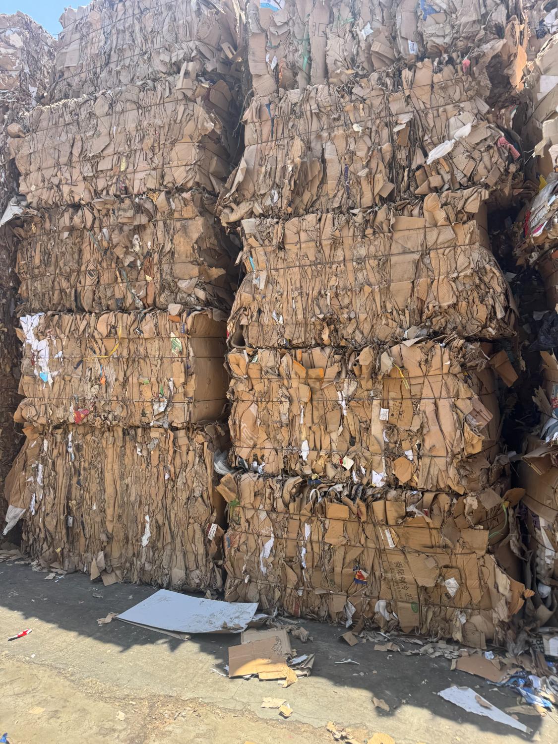 Balles de carton récupéré triées et compressées, stockées sur le site